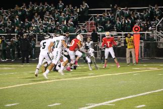 October 18 2019 IMG_46151352